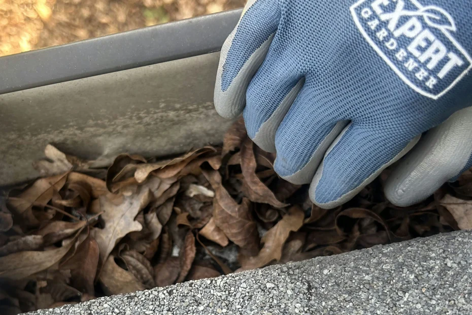 Gutter Cleaning Fuquay-Varina